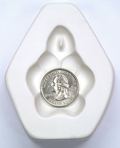 Quarter coin in white foam packaging.